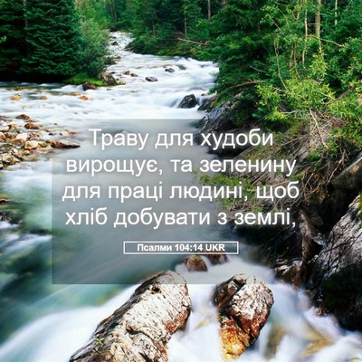 Picture 05 - Псалми 104:14 UKR - Траву для худоби вирощує, - Bible Verse Picture