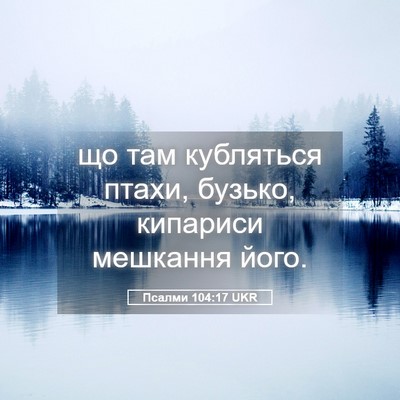 Picture 05 - Псалми 104:17 UKR - що там кубляться птахи, - Bible Verse Picture