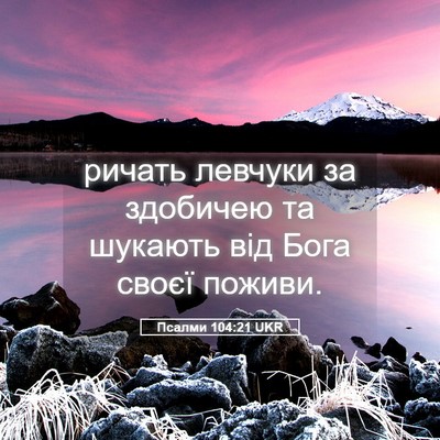 Picture 05 - Псалми 104:21 UKR - ричать левчуки за здобичею - Bible Verse Picture