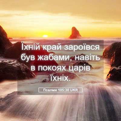 Picture 05 - Псалми 105:30 UKR - Їхній край зароївся був - Bible Verse Picture