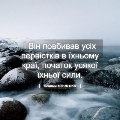 Picture 05 - Псалми 105:36 UKR - і Він повбивав усіх - Bible Verse Picture