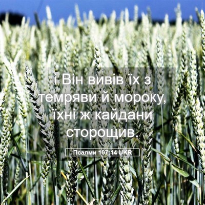 Picture 05 - Псалми 107:14 UKR - і Він вивів їх з темряви й - Bible Verse Picture