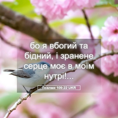 Picture 05 - Псалми 109:22 UKR - бо я вбогий та бідний, і - Bible Verse Picture