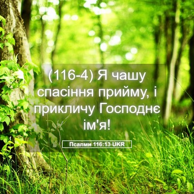 Picture 05 - Псалми 116:13 UKR - (116-4) Я чашу спасіння - Bible Verse Picture
