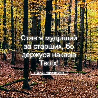 Picture 05 - Псалми 119:100 UKR - Став я мудріший за старших, - Bible Verse Picture