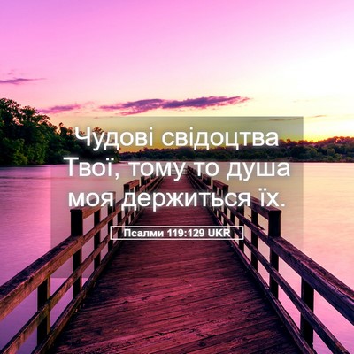 Picture 05 - Псалми 119:129 UKR - Чудові свідоцтва Твої, - Bible Verse Picture