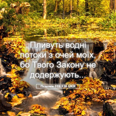 Picture 05 - Псалми 119:136 UKR - Пливуть водні потоки з - Bible Verse Picture