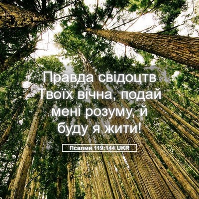 Picture 05 - Псалми 119:144 UKR - Правда свідоцтв Твоїх - Bible Verse Picture