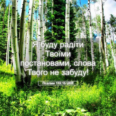 Picture 05 - Псалми 119:16 UKR - Я буду радіти Твоїми - Bible Verse Picture