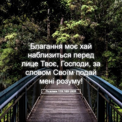 Picture 05 - Псалми 119:169 UKR - Благання моє хай - Bible Verse Picture