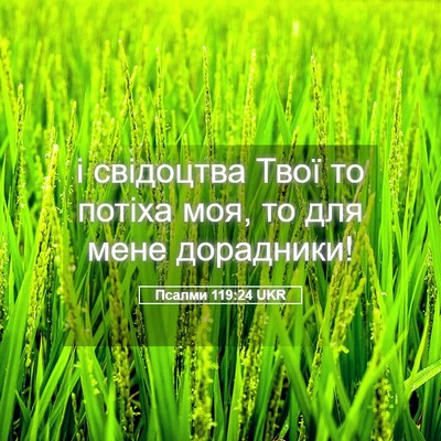 Picture 05 - Псалми 119:24 UKR - і свідоцтва Твої то потіха - Bible Verse Picture