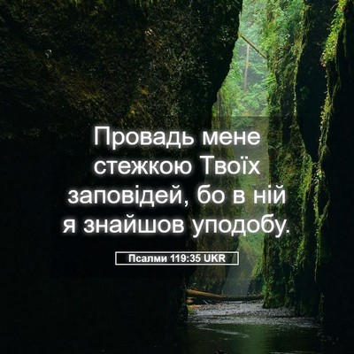 Picture 05 - Псалми 119:35 UKR - Провадь мене стежкою Твоїх - Bible Verse Picture