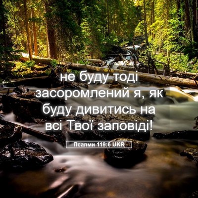 Picture 05 - Псалми 119:6 UKR - не буду тоді засоромлений - Bible Verse Picture