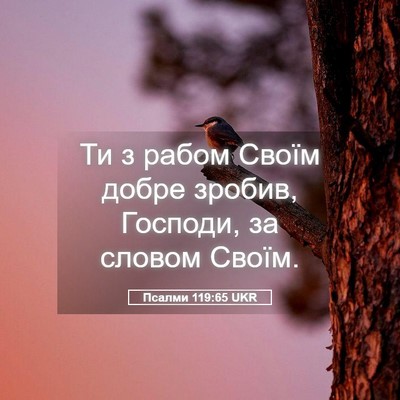 Picture 05 - Псалми 119:65 UKR - Ти з рабом Своїм добре - Bible Verse Picture