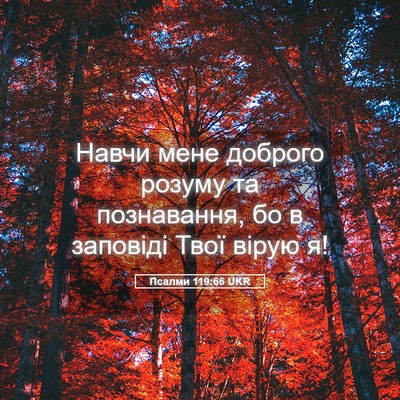 Picture 05 - Псалми 119:66 UKR - Навчи мене доброго розуму - Bible Verse Picture