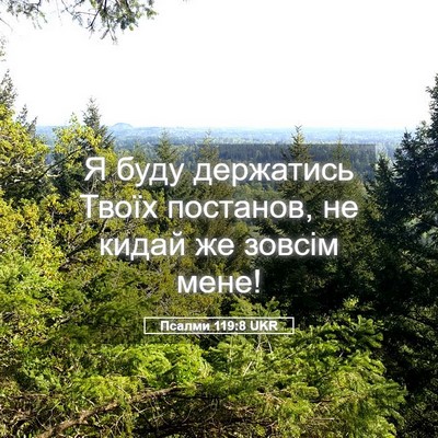 Picture 05 - Псалми 119:8 UKR - Я буду держатись Твоїх - Bible Verse Picture