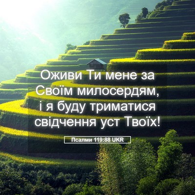 Picture 05 - Псалми 119:88 UKR - Оживи Ти мене за Своїм - Bible Verse Picture