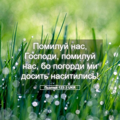 Picture 05 - Псалми 123:3 UKR - Помилуй нас, Господи, - Bible Verse Picture