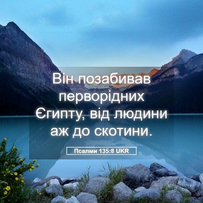 Picture 05 - Псалми 135:8 UKR - Він позабивав перворідних - Bible Verse Picture
