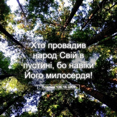 Picture 05 - Псалми 136:16 UKR - Хто провадив народ Свій в - Bible Verse Picture