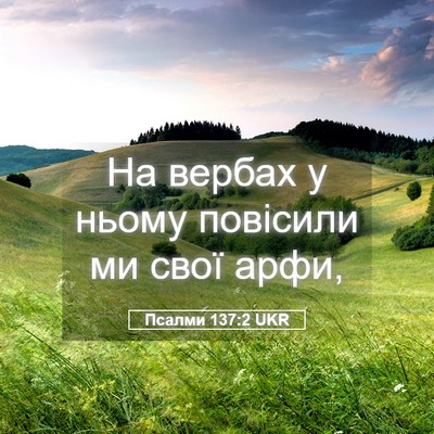 Picture 05 - Псалми 137:2 UKR - На вербах у ньому повісили - Bible Verse Picture