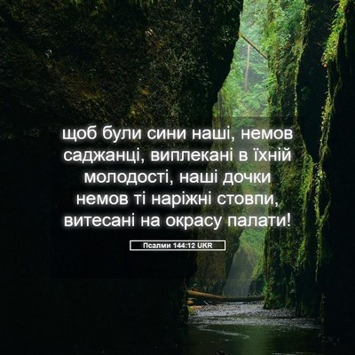 Picture 05 - Псалми 144:12 UKR - щоб були сини наші, немов - Bible Verse Picture