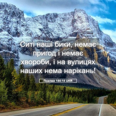 Picture 05 - Псалми 144:14 UKR - Ситі наші бики, немає - Bible Verse Picture