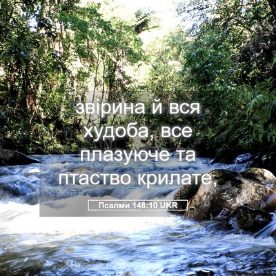 Picture 05 - Псалми 148:10 UKR - звірина й вся худоба, все - Bible Verse Picture
