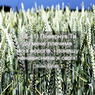 Picture 05 - Псалми 18:40 UKR - (18-41) Повернув Ти до мене - Bible Verse Picture