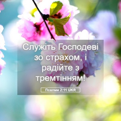 Picture 05 - Псалми 2:11 UKR - Служіть Господеві зо - Bible Verse Picture