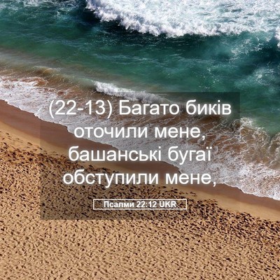 Picture 05 - Псалми 22:12 UKR - (22-13) Багато биків оточили - Bible Verse Picture