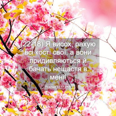 Picture 05 - Псалми 22:17 UKR - (22-18) Я висох, рахую всі - Bible Verse Picture
