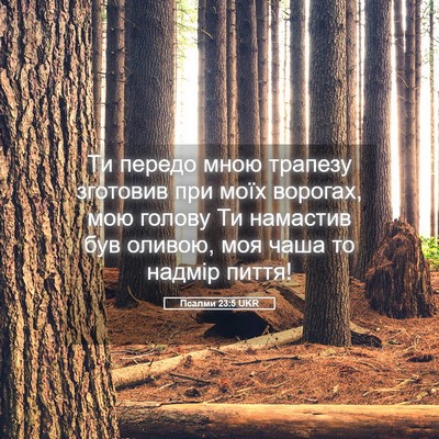 Picture 05 - Псалми 23:5 UKR - Ти передо мною трапезу - Bible Verse Picture