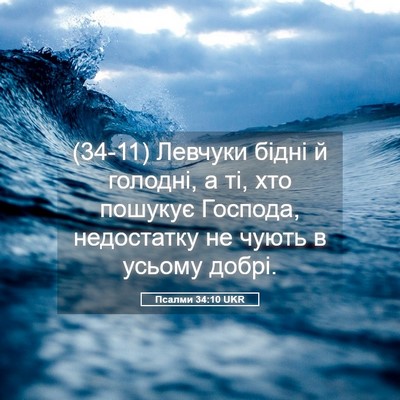 Picture 05 - Псалми 34:10 UKR - (34-11) Левчуки бідні й - Bible Verse Picture