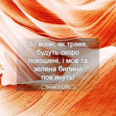 Picture 05 - Псалми 37:2 UKR - бо вони, як трава, будуть - Bible Verse Picture