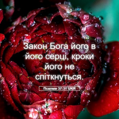 Picture 05 - Псалми 37:31 UKR - Закон Бога його в його - Bible Verse Picture