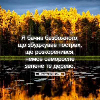 Picture 05 - Псалми 37:35 UKR - Я бачив безбожного, що - Bible Verse Picture