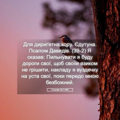 Picture 05 - Псалми 39:1 UKR - Для дириґетна хору. - Bible Verse Picture