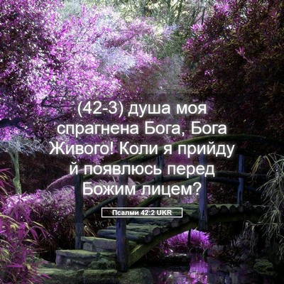 Picture 05 - Псалми 42:2 UKR - (42-3) душа моя спрагнена - Bible Verse Picture