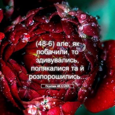 Picture 05 - Псалми 48:5 UKR - (48-6) але, як побачили, то - Bible Verse Picture