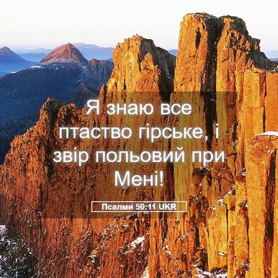 Picture 05 - Псалми 50:11 UKR - Я знаю все птаство гірське, - Bible Verse Picture