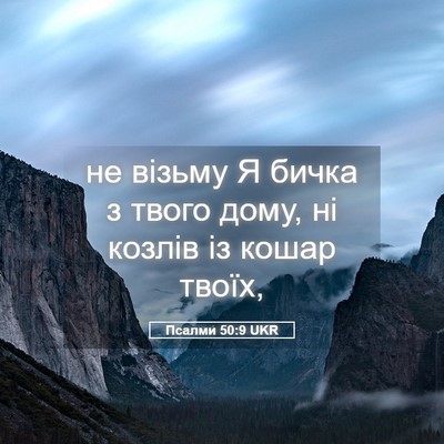 Picture 05 - Псалми 50:9 UKR - не візьму Я бичка з твого - Bible Verse Picture