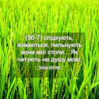 Picture 05 - Псалми 56:6 UKR - (56-7) слідкують, ховаються, - Bible Verse Picture