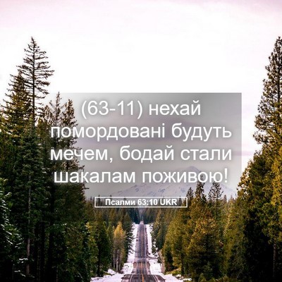 Picture 05 - Псалми 63:10 UKR - (63-11) нехай помордовані - Bible Verse Picture