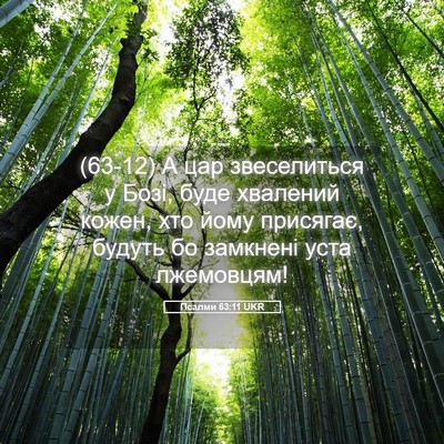 Picture 05 - Псалми 63:11 UKR - (63-12) А цар звеселиться у - Bible Verse Picture
