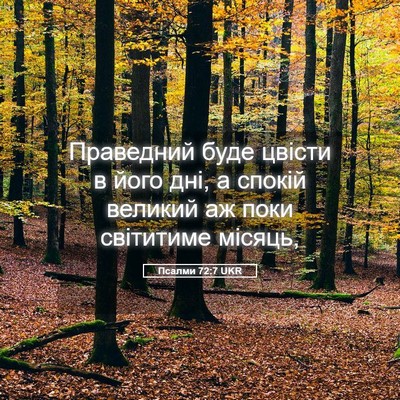Picture 05 - Псалми 72:7 UKR - Праведний буде цвісти в - Bible Verse Picture
