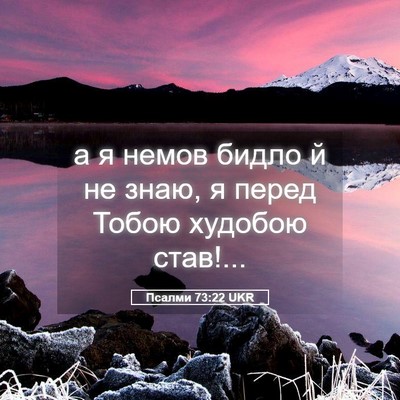 Picture 05 - Псалми 73:22 UKR - а я немов бидло й не знаю, я - Bible Verse Picture