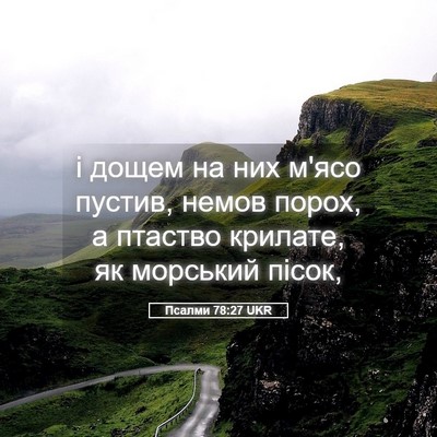 Picture 05 - Псалми 78:27 UKR - і дощем на них м'ясо пустив, - Bible Verse Picture