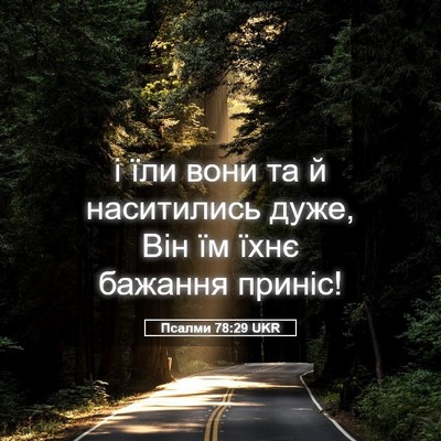 Picture 05 - Псалми 78:29 UKR - і їли вони та й наситились - Bible Verse Picture