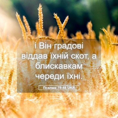 Picture 05 - Псалми 78:48 UKR - і Він градові віддав їхній - Bible Verse Picture